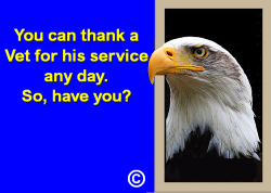 Youcan thank a Vet on any day.